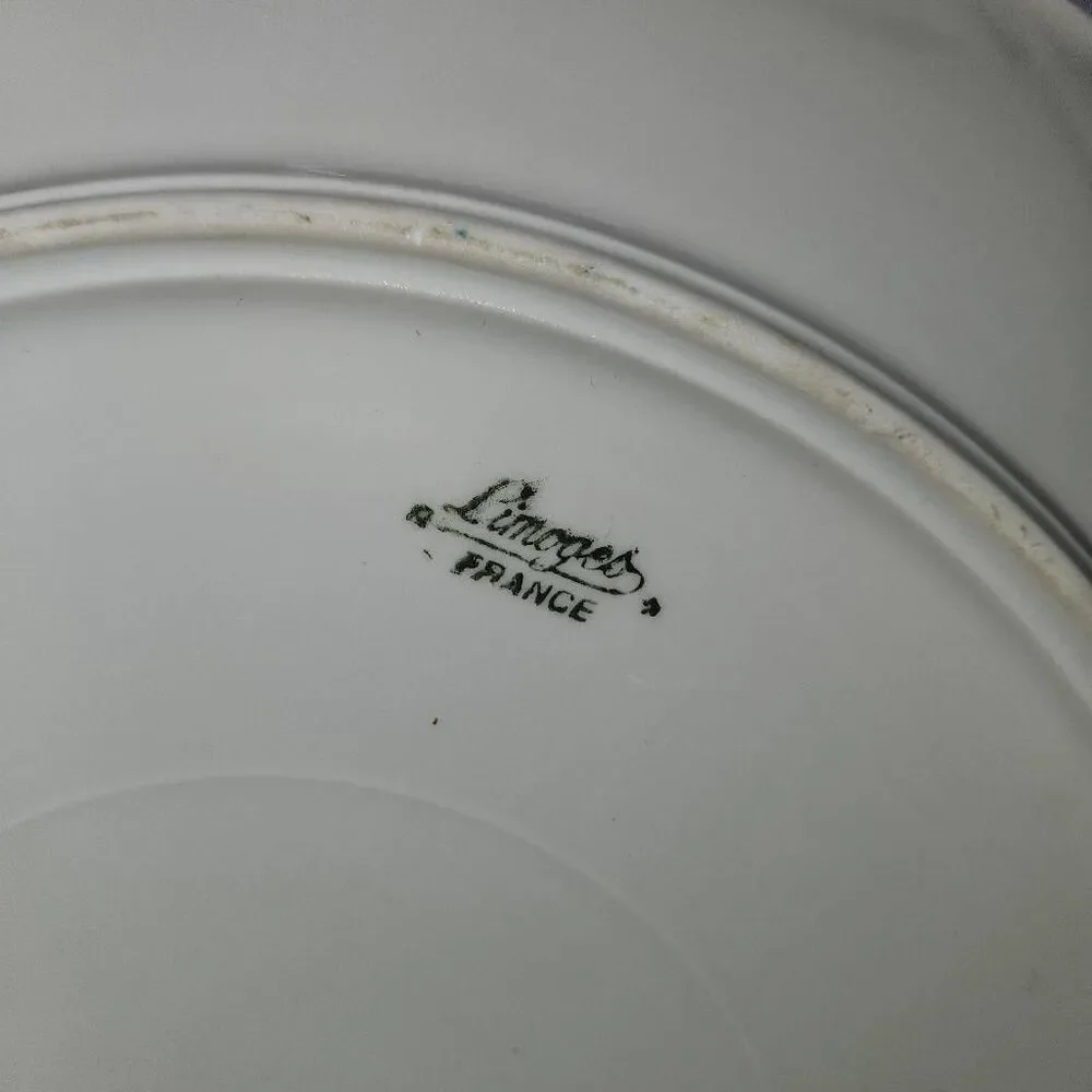 Vintage Limoges France Dinner Plate With Gold Roses